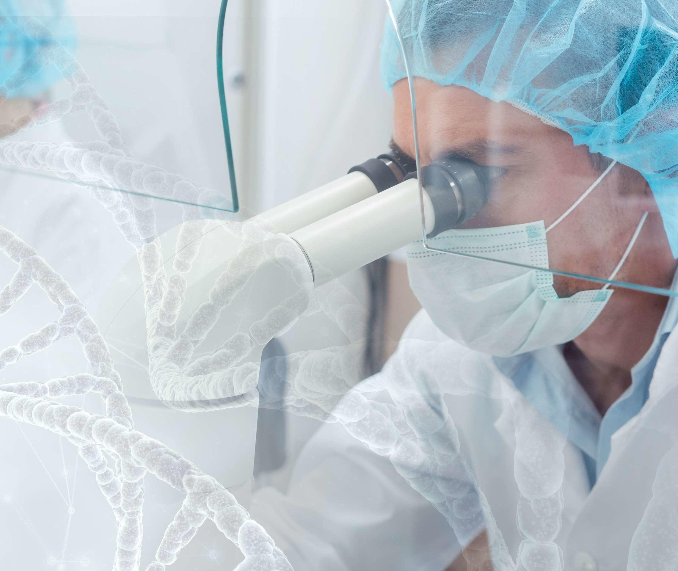 Labormitarbeiter untersucht etwas unter dem Mikroskop