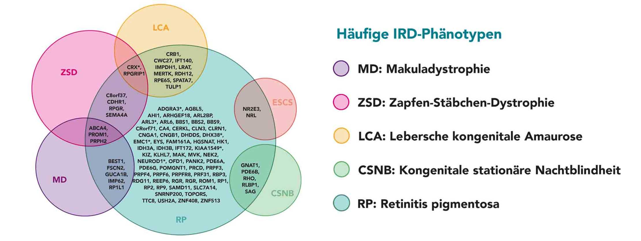 Grafik Häufige IRD-Phänotypen