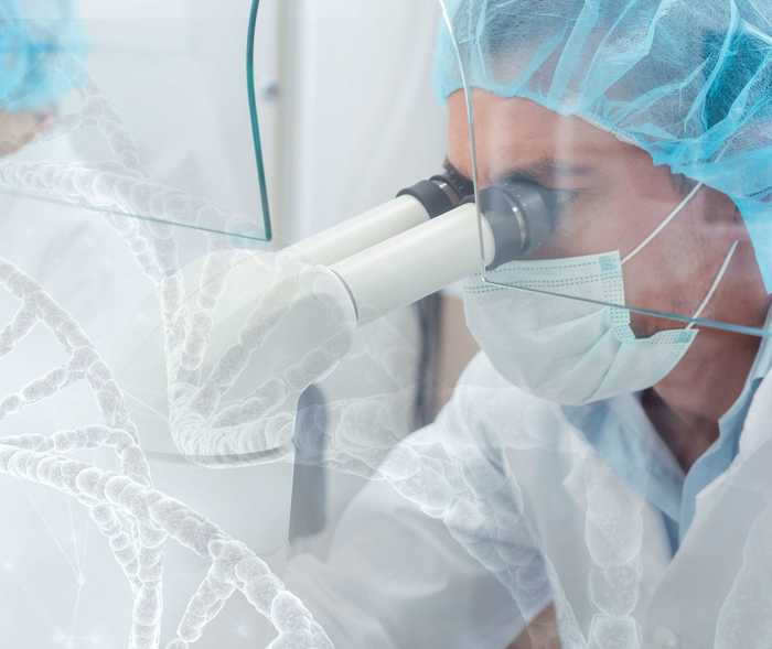 Labormitarbeiter untersucht etwas unter dem Mikroskop Labormitarbeiter untersucht etwas unter dem Mikroskop