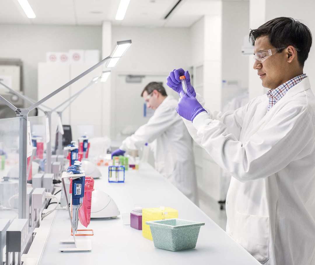 Zwei Männer arbeiten in einem Labor uns untersuchen Proben